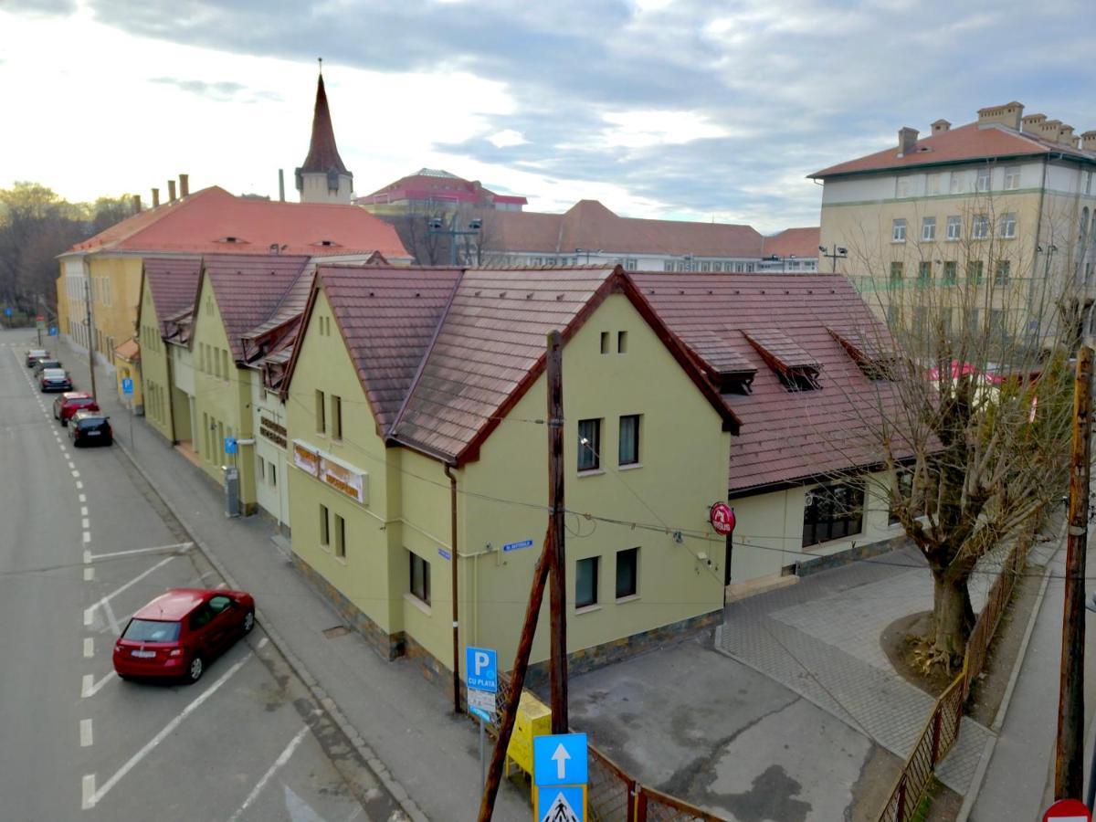 Pensiunea Luceafarul Sibiu Dış mekan fotoğraf